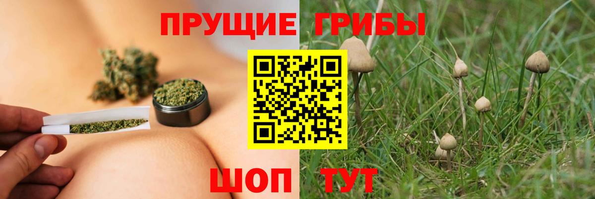 Псилоцибиновые грибы GOLDEN TEACHER Верхняя Пышма