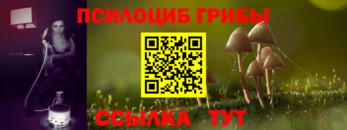 Верхняя Пышма  Псилоцибиновые грибы MAGIC MUSHROOMS  Вход с VPN 